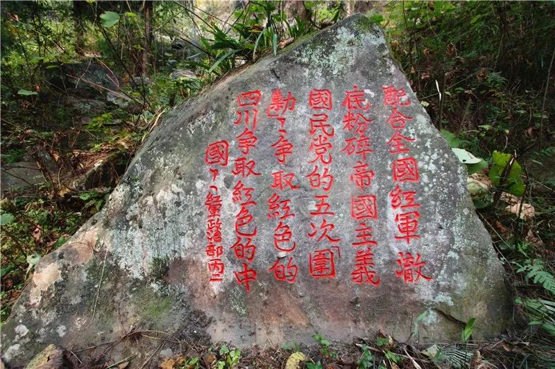 大开眼界和开阔视野,通江最新变化