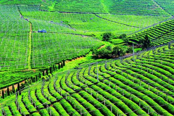 迎接高考填志愿你所不了解的高校食品专业及就业前景