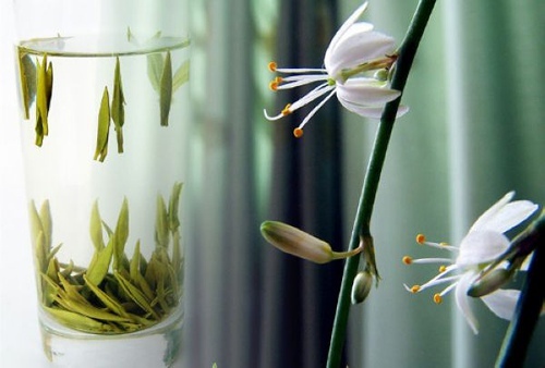 各种茶品鉴方法,名茶鉴赏大全图解