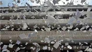 高考，那个小婊砸