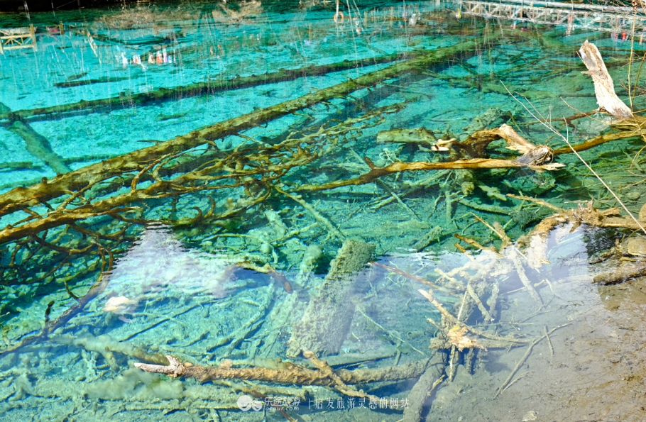 九寨沟的四季的特点,九寨沟真的是人间仙境