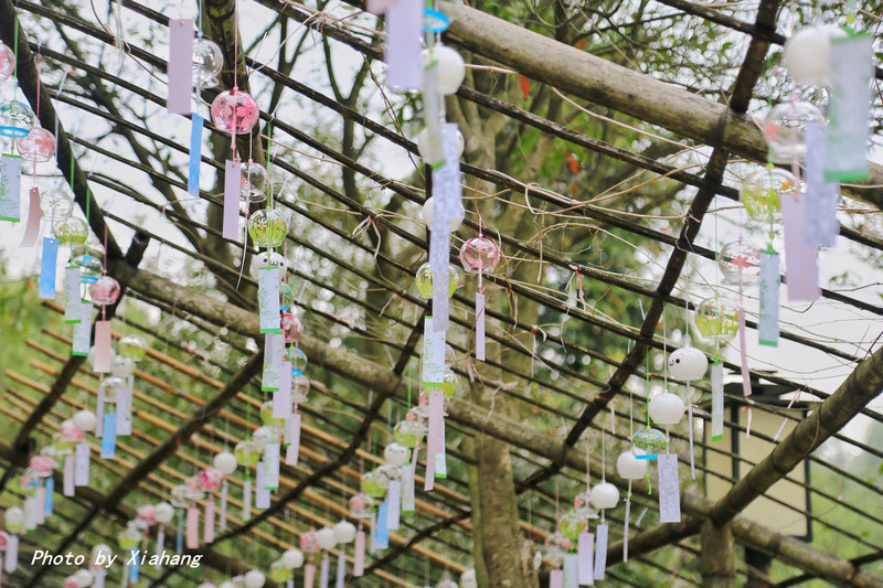 徽州水墨画哪里好玩,徽州赏花旅游