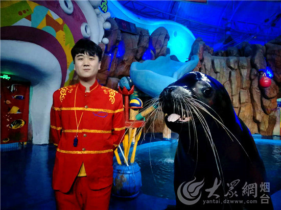 烟台：驯养师与海狮伙伴“贝克”的故事