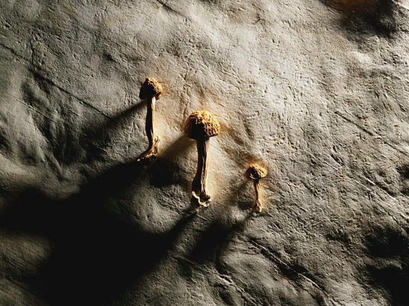 *教邪**毁了一个有梦想的少年