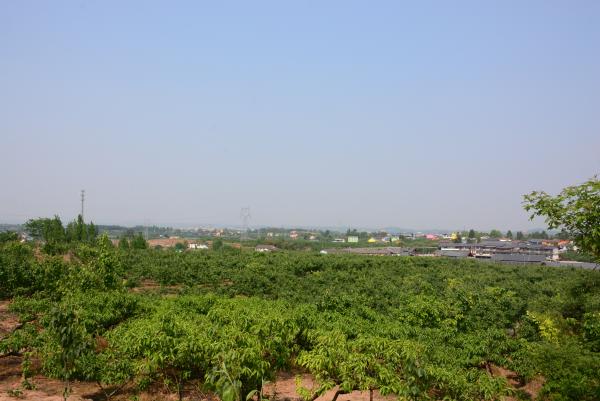 四川德阳春季脱贫攻坚,脱贫四种方式