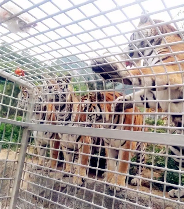 这个端午节要这样玩，千万别错过了！