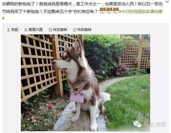 王思聪自曝女友为其堕胎又火了,但外媒只关心老公最宠的那个网红