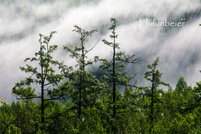 呼伦贝尔拍照攻略,呼伦贝尔美景拍照