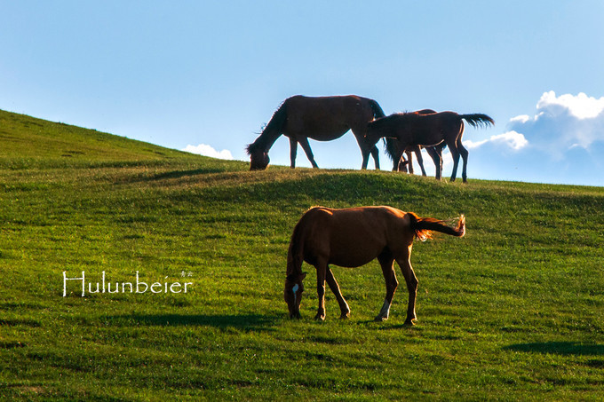 呼伦贝尔拍照攻略,呼伦贝尔美景拍照