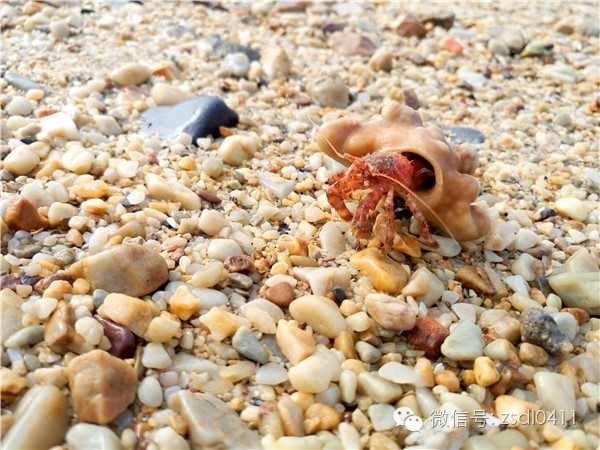大连小众海边滨海路,大连最美海滨路在哪