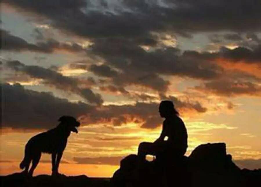 月白月明：满仓和他的女人