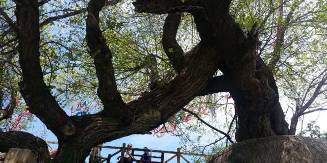 一景一日能观四季：天山“瑶池”是怎样的美轮美奂