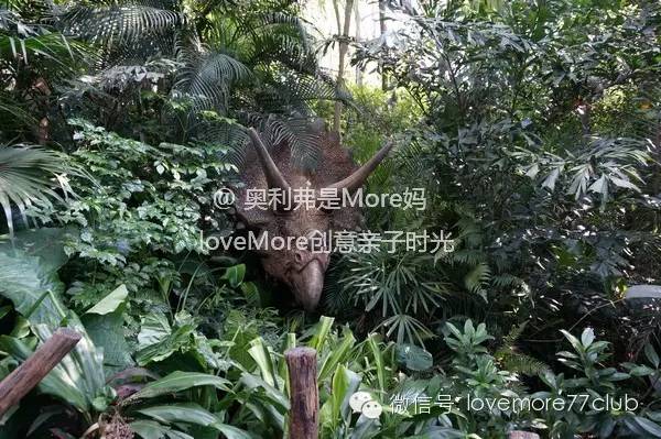 广州旅游攻略长隆野生动物园,广州长隆野生动物园自由行攻略