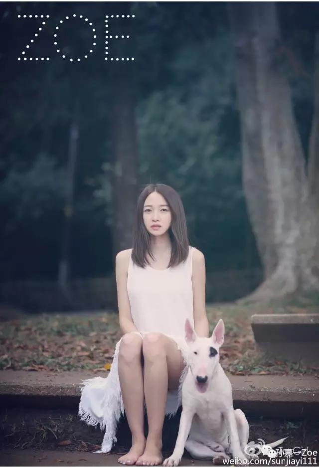 淘宝十大网店,十大网红店淘宝