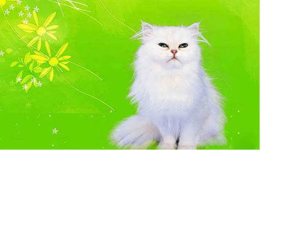 ps基础课程橡皮擦工具的简单介绍,ps里面橡皮擦工具怎么设置成白色