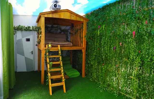 欧洲杯熬夜看球需要准备什么,无差别看球指南欧洲杯之王