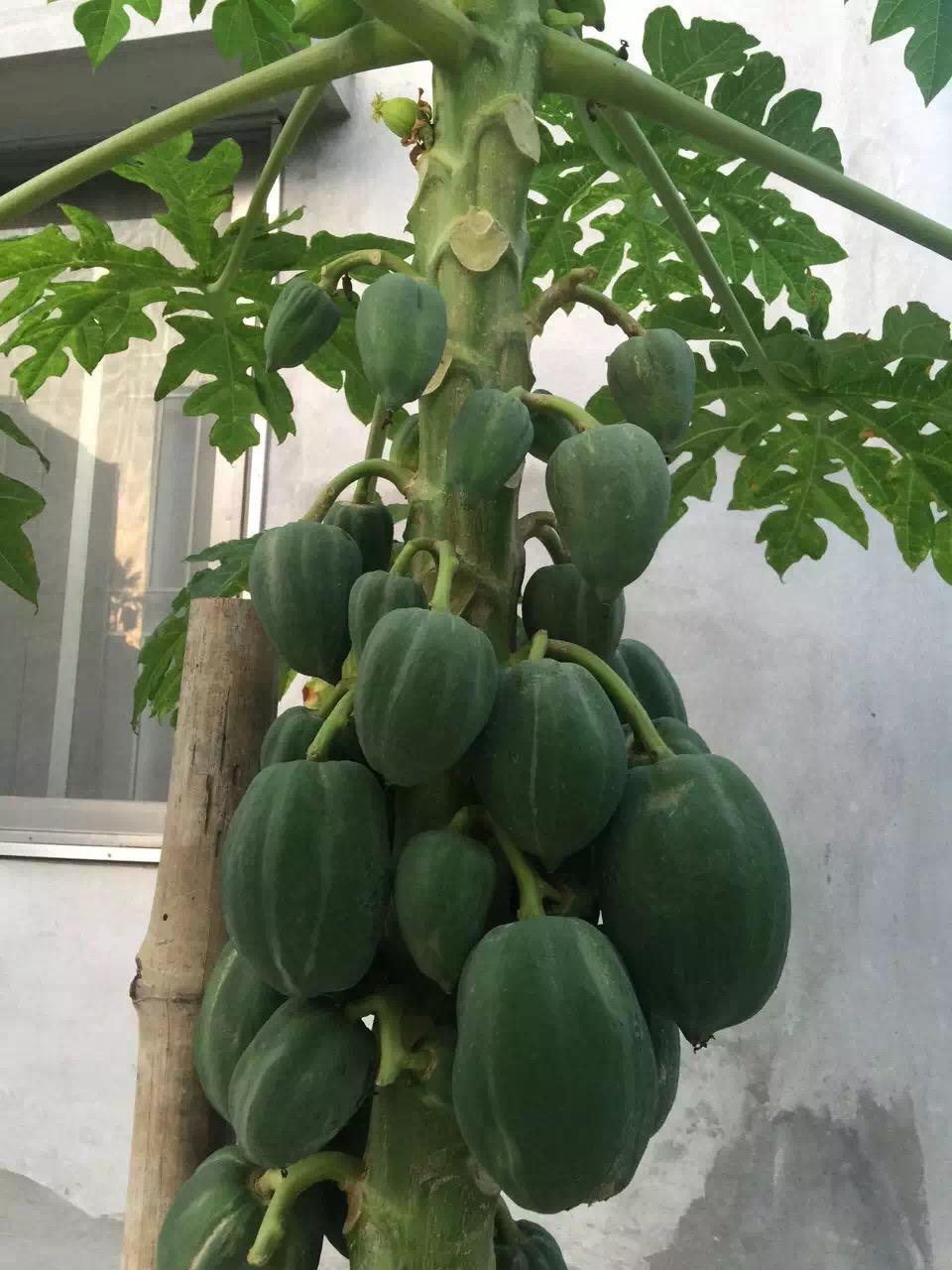 带你走进神秘中东,去孟加拉国旅游真实感受