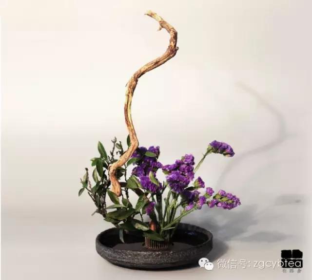 谁给我买个这种壶承，我给他泡一辈子好茶！