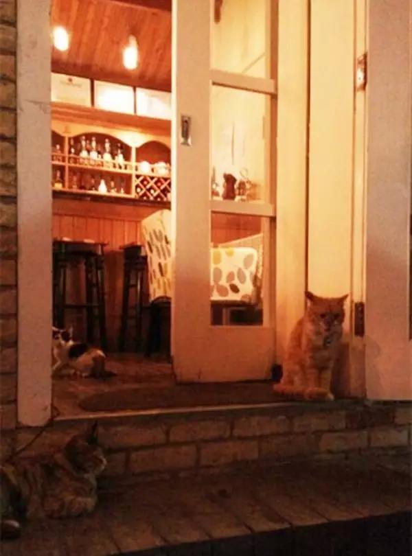 京城那些萌哒哒的地方，即使去千遍也不厌倦