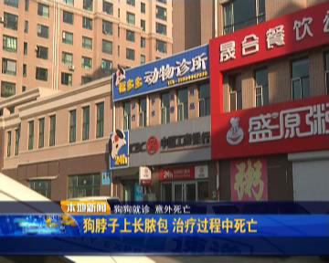 狗子脖子长了包有脓,狗脖子下面长疮怎么办