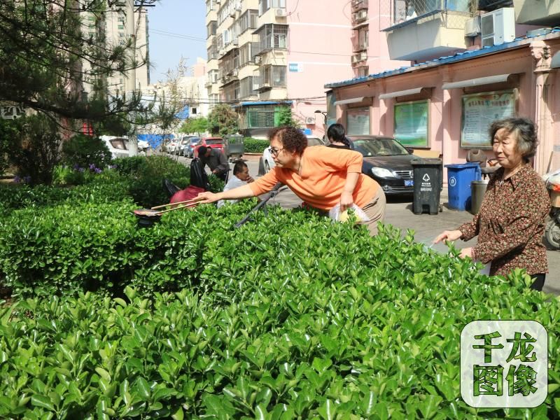 一周一个样北京朝阳全区启动环境“大扫除”