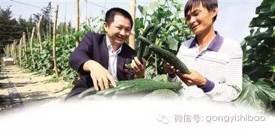 小额信贷助推乡村振兴的意义,农村小额信贷发展