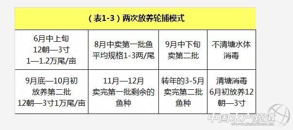 养殖草鱼的技术和视频,养殖草鱼的技术视频教程大全