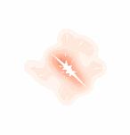 马鞍山雨山湖野生动物园,马鞍山雨山湖动物园白虎