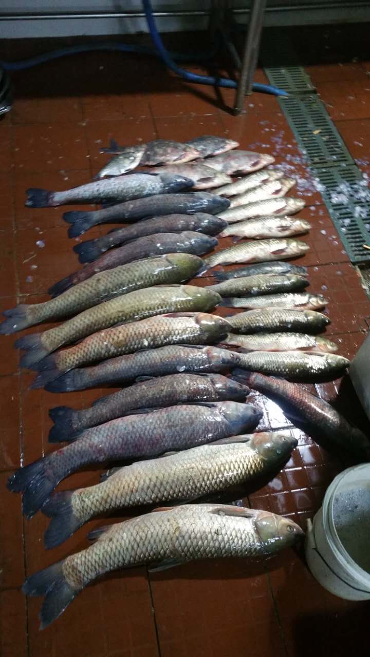 帮哥,矶钓竿滑漂线组高端套装全套