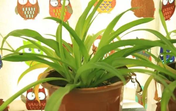 90后妹子花1万元改造出租房 (90后出租房改造图)