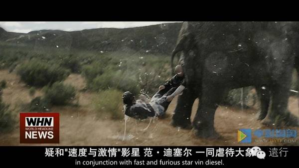 谁说没有这部污片治愈不了的尴尬癌？我呸～