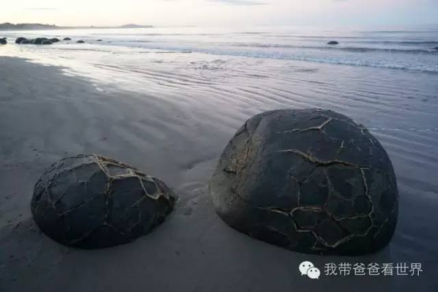 新西兰圆石图片,摩拉基大圆石龟背形成原因
