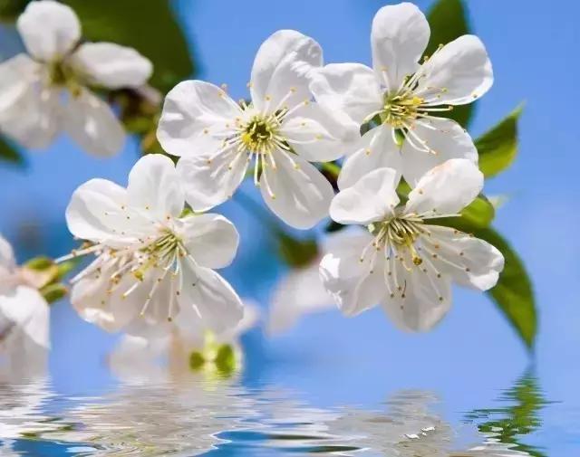 海口一座不需要滤镜的城市,海口一线海景