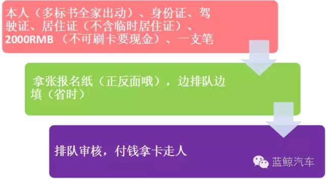 鲸点游玩攻略,鲸鲨一日游攻略