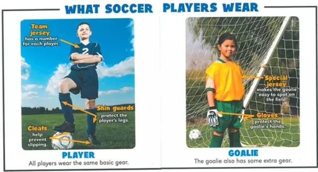 英语总结欧洲杯,欧洲杯英国足球课程