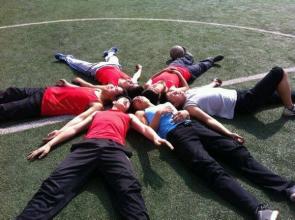 2016高考3a志愿填报,艺术类高考志愿填报技巧2021