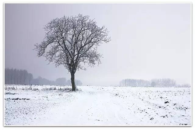 鎶曡祫鎬绘槸鍙樺够鑾祴,鎶曡祫涓殑鍥涘杞洖