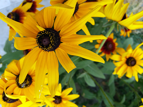 2千块买华为还是买三星,2千多买个二手手机值得吗