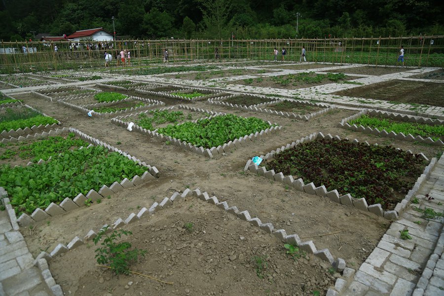 陕西旅游去哪儿玩,自驾游玩陕西