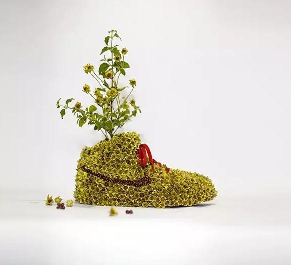 球鞋里面的圈子,鞋里面的世界