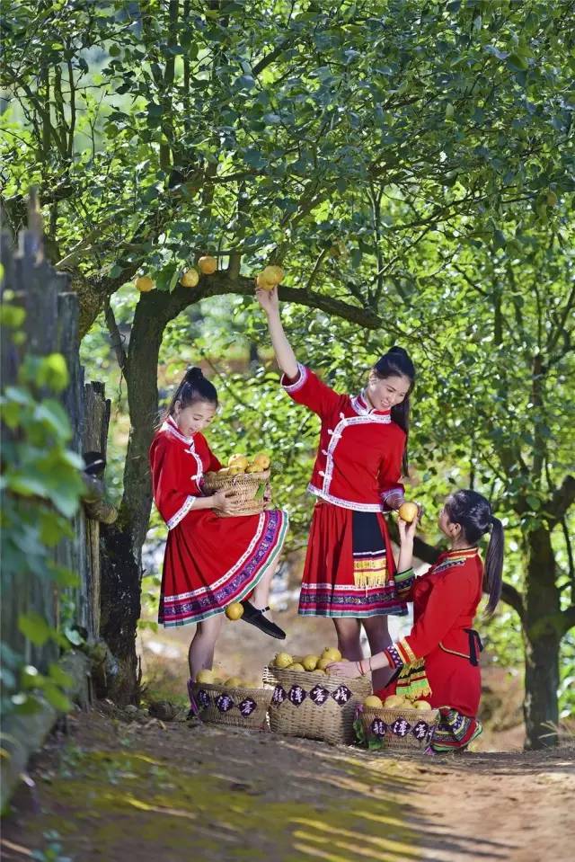 来咯！2016连州水晶梨节
