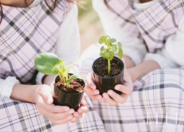 为什么说婚姻熬不过七年之痒,如何看待婚姻的第二个七年之痒