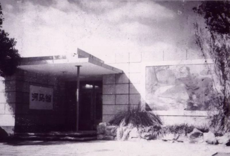 阿拉看环境｜还记得记忆中的西郊公园吗？