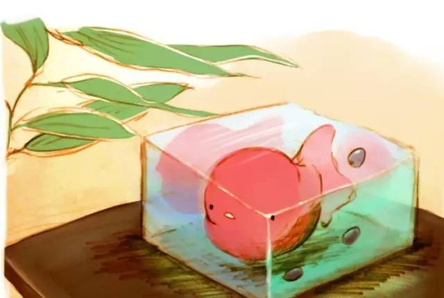 孩子撒谎怎么惩罚奖赏,解决儿童撒谎的行动方案