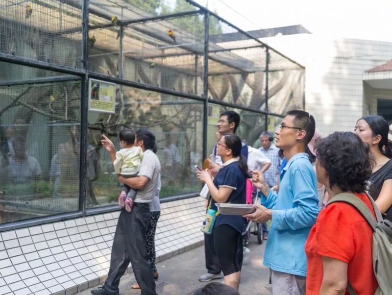 阿拉看环境｜还记得记忆中的西郊公园吗？