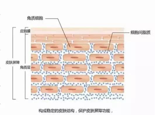 十大危害皮肤的化妆品,皮肤屏障受损大牌化妆品