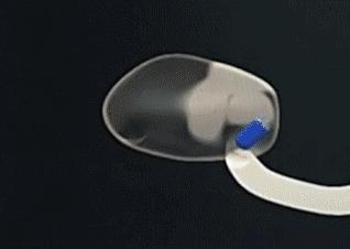 武汉光谷观光,武汉光谷值得去吗