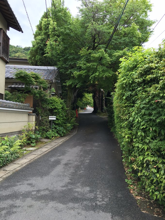 年假连端午，二次进日，关西8日游：京都、岚山（嵯峨野观光小火车、岚电）、奈良、环球影城