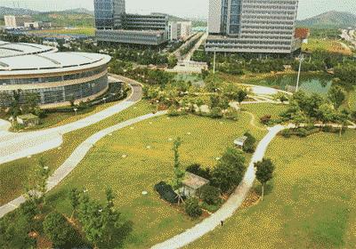 武汉的光谷是个什么地方,武汉最神奇的地方东湖高新