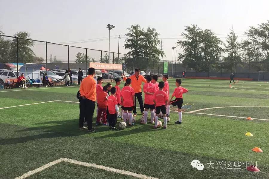 堪比淘宝大兴这个早市不赖地儿大货全免费停车